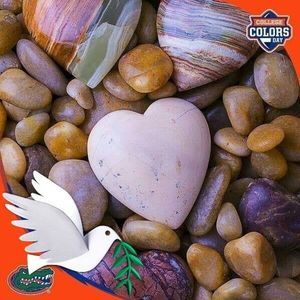 Meet your Posher, Teresa